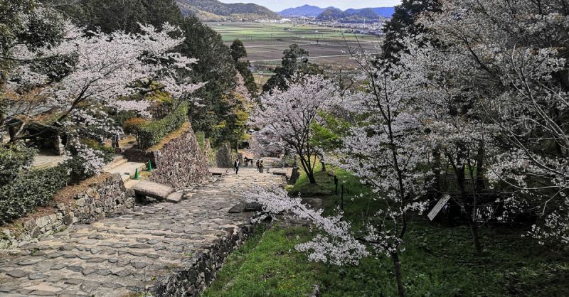 tàn tích lâu đài azuchi tàn tích lâu đài azuchi